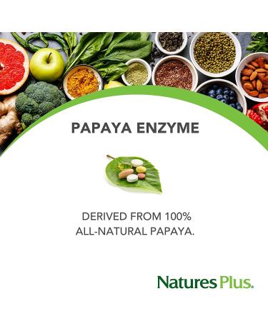Buy Nature's Plus Chewable Papaya Enzyme Supplement - 360 Tablets for Digestion Support - Buy Online on GoSupps.com