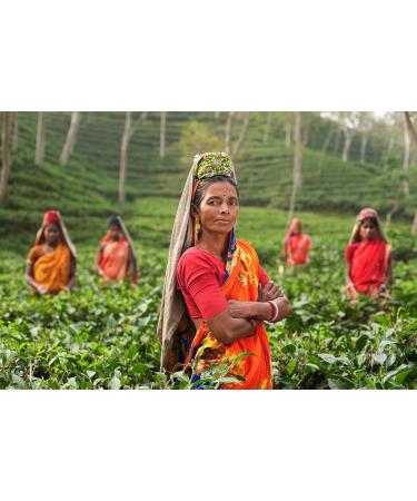  AMA-Feinkost PEKOE Premium Ceylon/Sir Lanka Black Tea (50g) - Buy Online on GoSupps.com