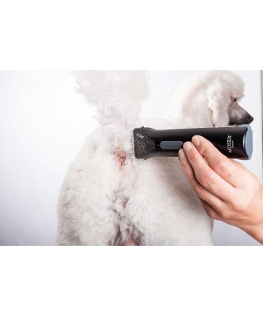 Wahl Arco Cordless Clipper - Buy Online on GoSupps.com