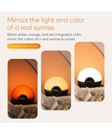 Buy Lumie Bodyclock Glow 150 - Sunrise & Sunset Alarm Clock with Customizable Light | Best Bedside Lamp for Waking Up & Reading - Buy Online on GoSupps.com