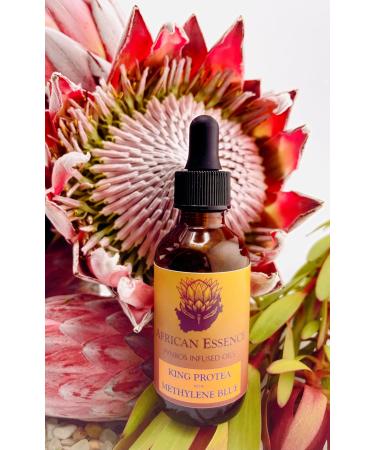 Methylene Blue Skin Serum Glass Skin African Protea Skin Serum for Age-Tempering Hydration Moisturizing Free-Radical Gathering