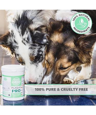 Pets Purest Plaque Off Powder - 185g | Natural Tartar & Plaque Remover for Dogs & Cats | Bad Breath & Gum Disease Prevention | Dental Care Formula - Buy Online on GoSupps.com