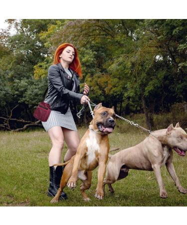 AOKLANT Dog Treat Pouch Dog Training Pouch Bag with Waist Shoulder Strap 3 Ways to Wear Easily Carries Pet Toys Kibble Treats Personal Effects Red - Buy Online on GoSupps.com