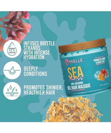 Mielle Organics Sea Moss Anti-Shedding Curl Gel Hair Masque - For Stronger, Healthier Curls - Buy Online on GoSupps.com