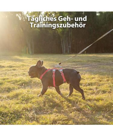 Huntboo Non-Slip Dog Harness & Safety Dishes | Escape Proof Reflective & Durable Adjustable Vest for Medium Dogs (Red M) - Buy Online on GoSupps.com