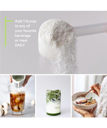 VITAMIN SEASONS Multi Collagen Blend Powder | Women and Men | Hyaluronic Acid + Vitamin C | Hydrolyzed Multi Collagen Peptides | Non-GMO, Gluten-Free, Keto, Paleo | 488g | Made in USA - Buy Online on GoSupps.com