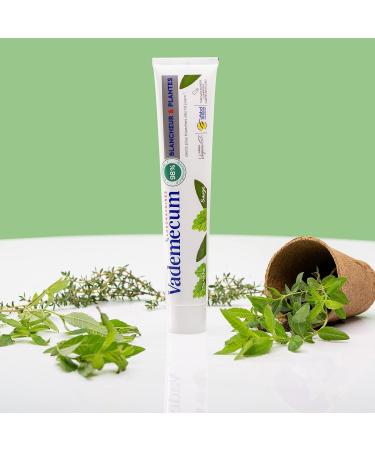 Vademecum Whitening Toothpaste - Mint & Sage - 98% Natural Vegan - 4 Pack 75ml Each - White Teeth in 10 Days - Buy Online on GoSupps.com