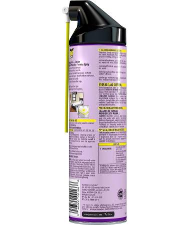 Raid Max Bed Bug Crack & Crevice Foaming Spray - 17.5 oz | Extended 8-Week Protection on Laminated Surfaces - Buy Online on GoSupps.com