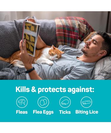 VioVet TermaFlea COMBO Flea & Tick Spot On Solution for Cats & Ferrets - 3 Pipettes - Buy Online on GoSupps.com