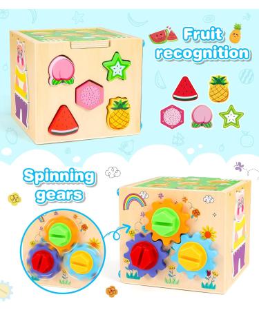 CoolJoya 6-in-1 Montessori Wooden Motor Cubes | STEM Toys for Toddlers | Perfect Gift for Boys & Girls Ages 1+ - Buy Online on GoSupps.com