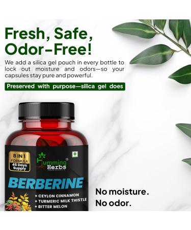 Berberine 1300mg with Ceylon Cinnamon & Turmeric | 8-in-1 Blood Sugar Support Supplement | 90 Veg Capsules | Includes Milk Thistle Bitter Melon & Probiotics for Metabolic Health 1 Count (Pack of 90) - Buy Online on GoSupps.com