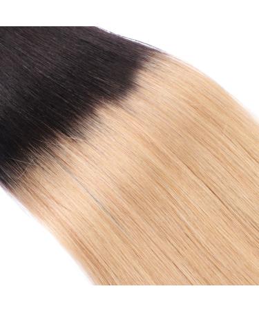 Shop Premium Keratin Bonding Hair Extensions - 1B/24 Ombre 60cm 50 Strands - 100% Remy Real Hair U-Tip by Novon Hair Extensions - Buy Online on GoSupps.com