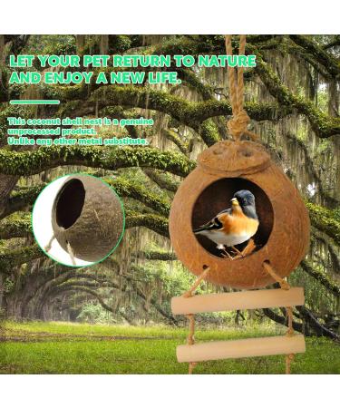 Aobuviou Gecko Coconut Husk Hut Coconut Bird Nest Reptile Coconut Hide with Ladder Natural Reptile Hideouts Bird Coconut Shell Coconut Hide for Reptiles Bird Small Animal - Buy Online on GoSupps.com
