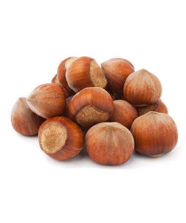 Raw Hazelnuts in Shell from Poland | 2 kg | Premium | package: carton Hazelnut 2 kg (Pack of 1)