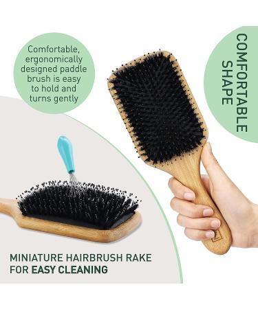 Natural Boar Bristle Hair Brush Set - 6 Pieces for All Hair Types, Detangling and Shine Enhancing - Buy Online on GoSupps.com
