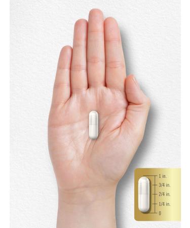 Carlyle L-Arginine L-Citrulline Supplement | 2250mg | 240 Powder Capsules | Nitric Oxide Precursors | Free Form | Non-GMO & Gluten Free - Buy Online on GoSupps.com