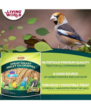 Living World Spray Millet 17.6 Oz - Nutritious Treat for Birds - Buy Online on GoSupps.com