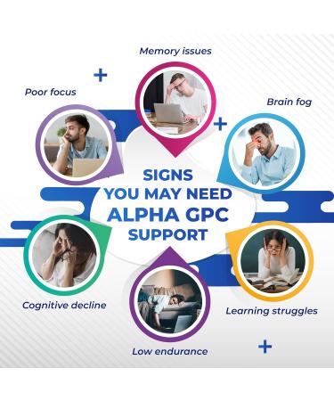 High Potency Alpha GPC with Vitamin B12 L-Theanine Phosphatidylserine Magnesium Bacopa Monnieri Ginkgo Biloba Supports Brain Health Energy & Focus Made in The USA 150 count (pack of 1) - Buy Online on GoSupps.com