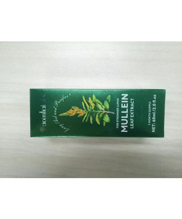 Mullein Leaf Extract Mullein Leaf Drops Lung Aid and Purifier Sublingual Liquid-Healthy and Vegan Lifestyle 2 Bottle - Buy Online on GoSupps.com
