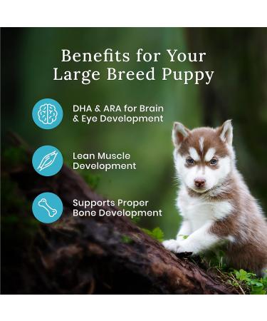 Blue Buffalo Wilderness More Meat & Wholesome Grains Natural Dry Dog Food Large Breed Puppy Chicken 24lb Large Breed Puppy More Meat Wholesome Grains - Buy Online on GoSupps.com