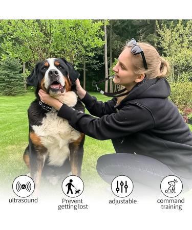 Byyt Ultrasound Dog Whistle - High Frequency Training Tool with Lanyard | Effective Bark Control & Dog Education - Buy Online on GoSupps.com