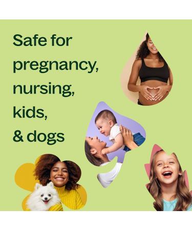 Plant Therapy Geranium Bourbon Essential Oil 10 mL (1/3 oz) 100% Pure Undiluted Natural Aromatherapy Soothing Skincare and Emotional Balance Geranium Bourbon 0.34 Fl Oz (Pack of 1) - Buy Online on GoSupps.com