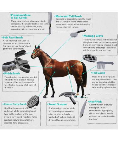 Harrison Howard Horse Grooming Kit 11-Piece Equine Care Series-Dark Charcoal - Buy Online on GoSupps.com
