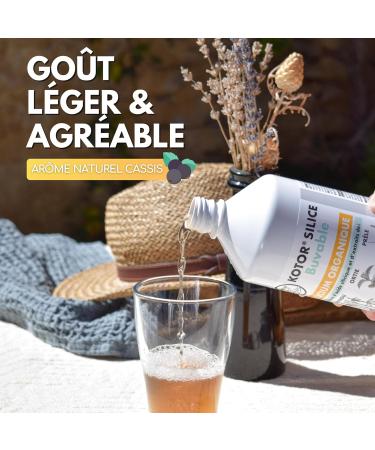 KOTOR DRINABLE SILICA 1L | Pack of 3 | French & Natural Organic Silicon | Health of Joints Cartilage Bones Skin Hair Nails | Silicon + Nettle + Horsetail + Bamboo | 3 Months - Buy Online on GoSupps.com