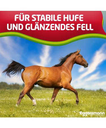 EGGERSMANN Profi Biotin Plus 4 kg - Premium Horse Supplement with Biotin & Zinc for Skin Fur & Hoof Health - Supports Eczema & Hoof Issues - Buy Internationally at Mauke - Buy Online on GoSupps.com