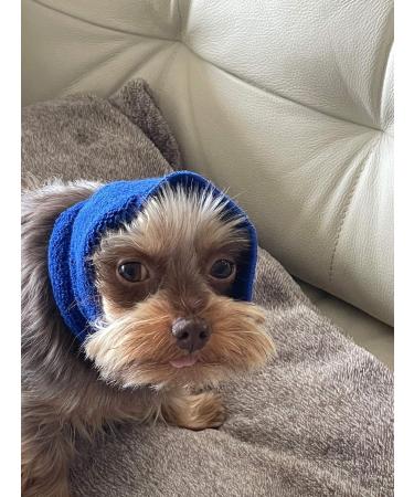Pet Hoodz for Dogs - Calming Ear Protection & Fur Care | Small Blue Anxiety Relief & Compression Dog Hoodies - Buy Online on GoSupps.com