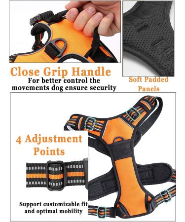 SLZZ Personalized Custom No Pull Dog Harness Leash Set with Name Phone Number-Heavy Duty Reflective Soft Padded Vest with Easy Control Handle for Small Medium Large Dog-2 Leash Attachments - Buy Online on GoSupps.com