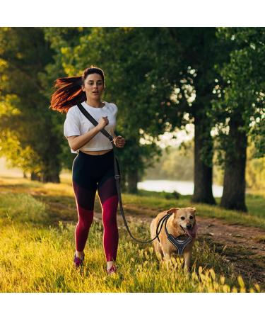 Buy Speelulu 1.8m - 3M Multifunctional Hands-Free Dog Leash | Adjustable Hip Belt & Shoulder Leash for Training Hiking & Running | International Shipping Available - Buy Online on GoSupps.com