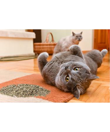 Maximum Potency Organic Catnip Blend - Premium Cat Weed for Crazy Cat Play - 1 Cup - Buy Online on GoSupps.com
