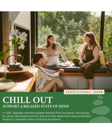 L Theanine 400mg Liquid Drops L-Theanine Supplement for Adults & Kids with GABA Magnesium & Ashwagandha Natural Sleep Focus & Relaxation Support Vegan Alcohol-Free Non-GMO 2 FL OZ 2 Fl Oz (Pack of 1) - Buy Online on GoSupps.com