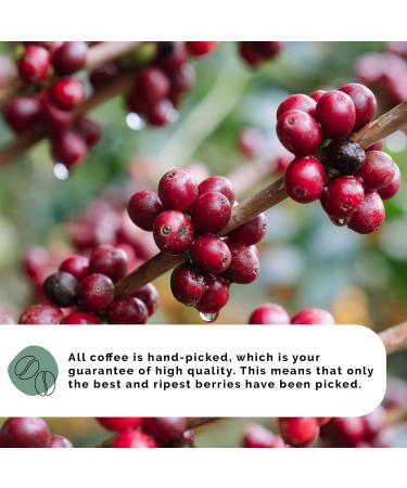 NSK - Organic Coffee Beans - Taster Pack - 4x 250 g - Whole Coffee Beans From Nicaragua & Peru - Coffee Gift Set - Shade Grown Coffee - 100% Hand-Picked - Coffee Beans Variety pack - B-Corp Certified Variety Pack 250 g (Pack of 4) - Buy Online on GoSupps.com