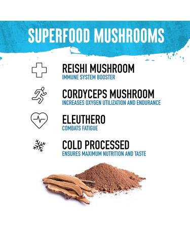 WILD SOCIETY Grass Fed Whey Protein Powder with Superfood Mushrooms - 25g Clean Protein No Added Sugar Non-GMO Gluten-Free Vanilla Bean - 17.5 oz - Buy Online on GoSupps.com