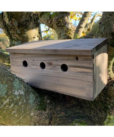 Selections Sparrow Colony Wooden Nesting Box Terrace - Buy Online on GoSupps.com