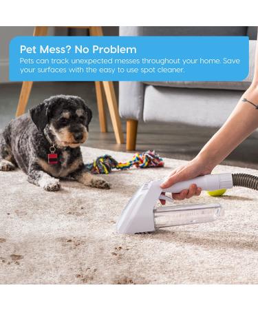 Iris USA Spot Cleaner - Small Carpet Cleaner Machine for Daily Use - Lightweight and Portable Upholstery Cleaner - Non-Chemical Stain Remover for Pets - Ideal for Stairs, Carpet, and Couch - White (596751) - Buy Online on GoSupps.com