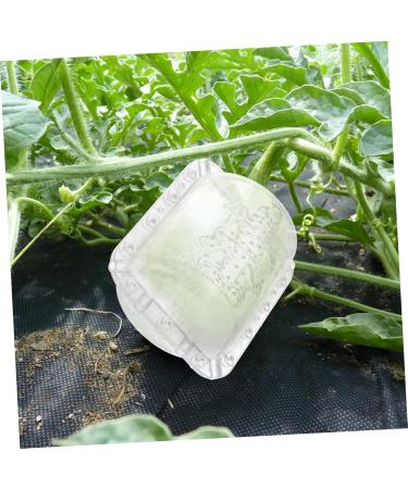 SUPVOX 2pcs Fruit Shaping Fruits Clear Creative Melon Shaper Stereotypes - Buy Online on GoSupps.com