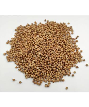 AgoraMarket Whole Coriander Seeds 85g 195kg Coriandrum sativum 220 grams - Buy Online on GoSupps.com