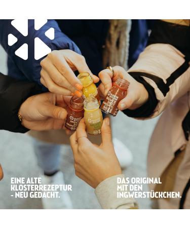 Kloster Kitchen Ginger Tasting Kit SI Size 1 x 360 ml + 6 x 30 ml with real ginger pieces I Organic vegan shot gift set I sweet spicy and with natural sweetness - Buy Online on GoSupps.com