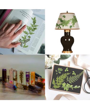 Dried Pressed Leaves and Flowers Assorted Greenery for Resin Art - 42 Pieces, 7 Styles - Buy Online on GoSupps.com