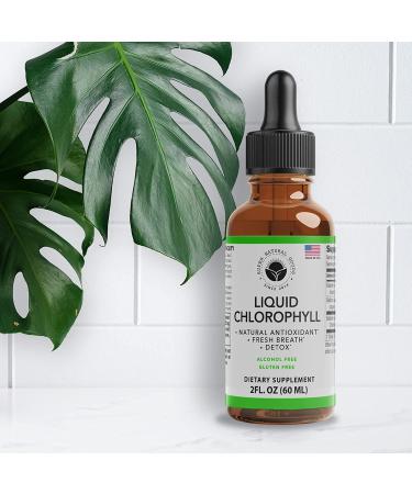 Premium Vegan Liquid Chlorophyll Drops (2oz) for Energy Boost, Gut Health, Detox, Hormone Balance & Immune Support - Internal Deodorant by Super Natural Goods - Buy Online on GoSupps.com