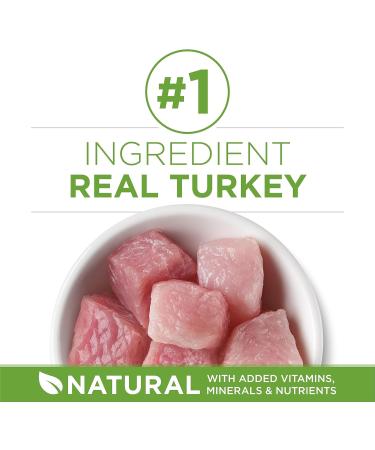 Purina ONE +Plus Dry Cat Food Indoor Advantage Turkey - 1.8 kg Bag 1.8 kg (Pack of 1) - Buy Online on GoSupps.com