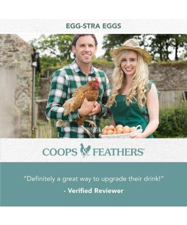 Organic Chicken Water Additive with Aloe Vera, Calendula Oil, Thyme Oil - 16 oz (2 pack) - Supports Egg Production & Immunity - Made in USA - Buy Online on GoSupps.com