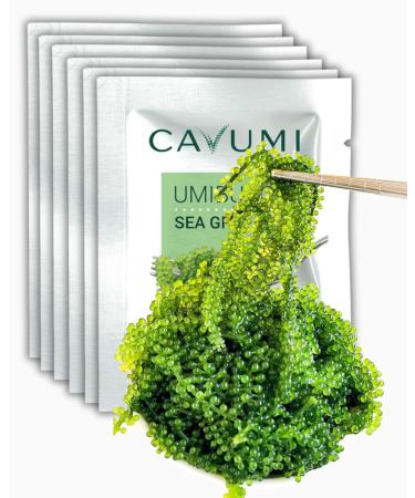 CAVUMI Sea Grapes - Crunchy Seaweed Snack (20g x 3 Pack) | Dried Umibudo Green Caviar | International Shipping Available - Buy Online on GoSupps.com