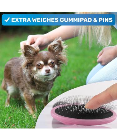 Bluepet Cat & Small Dog Brush | Gentle Undercoat Removal & Daily Fur Care - Mini Pink Rabbit Brush - Buy Online on GoSupps.com