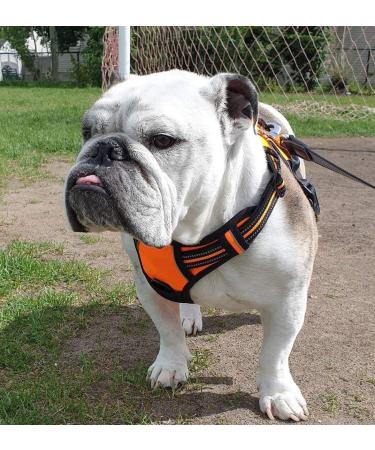 Rabbitgoo Medium Dog Harness - No Pull Adjustable Breathable Control & Safety | Perfect for Large Dogs - Orange - Buy Online on GoSupps.com