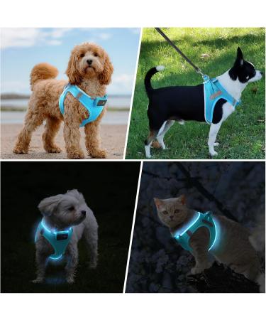 Buy PCEOTLLAR Dog Harness - LED Reflective & Breathable Light Dishes for Small to Medium Dogs - Blue - Buy Online on GoSupps.com