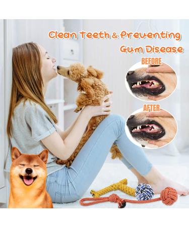 BoxaWay Large Tough Chew Toys for Aggressive Chewers Small & Large Breed Heavy Duty Dental Rope Toys Kit for Medium Dogs Knotted Indestructible Cotton Puppy Teething Chew Tug Toy Set of 11 11 Piece - Buy Online on GoSupps.com